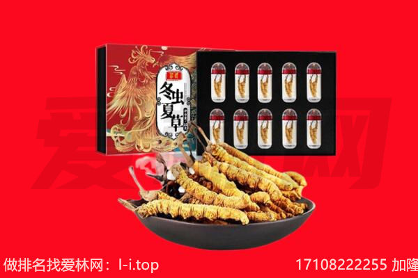 行唐县回收虫草.jpg